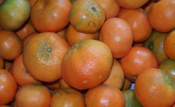 Mandarina Ortanique